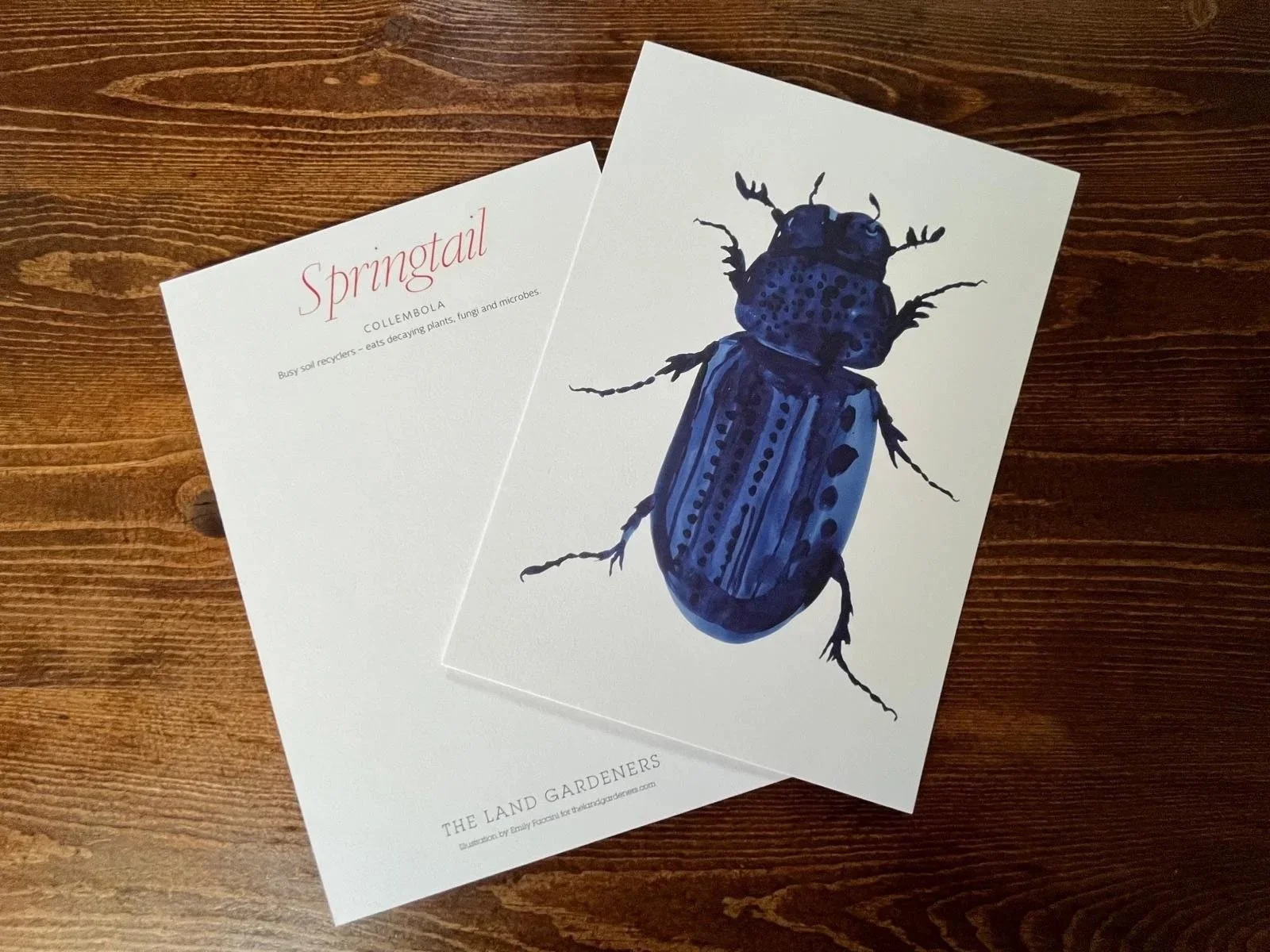 Creatures of the Soil Postcard & Envelope
