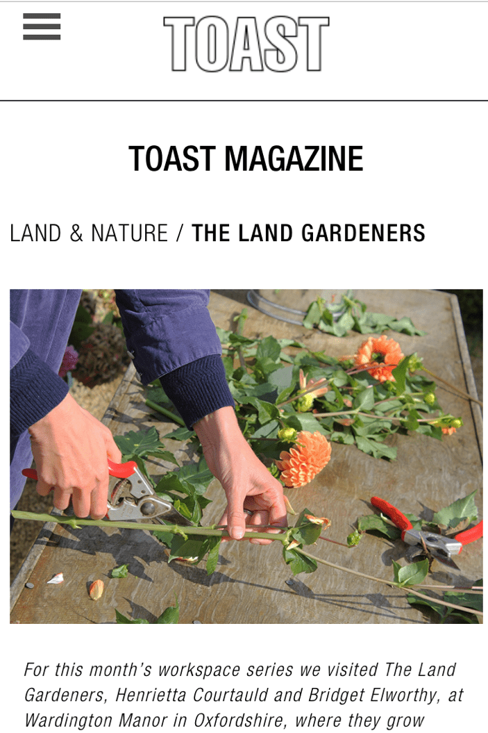 Toast+article.PNG.webp