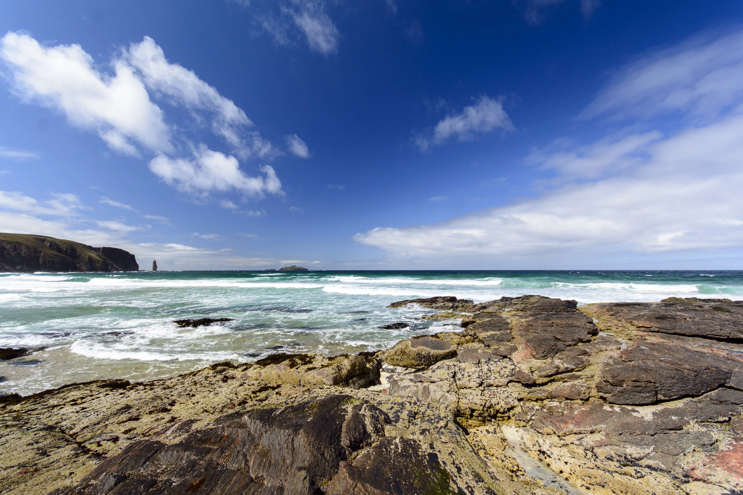 _DSC7250.jpg