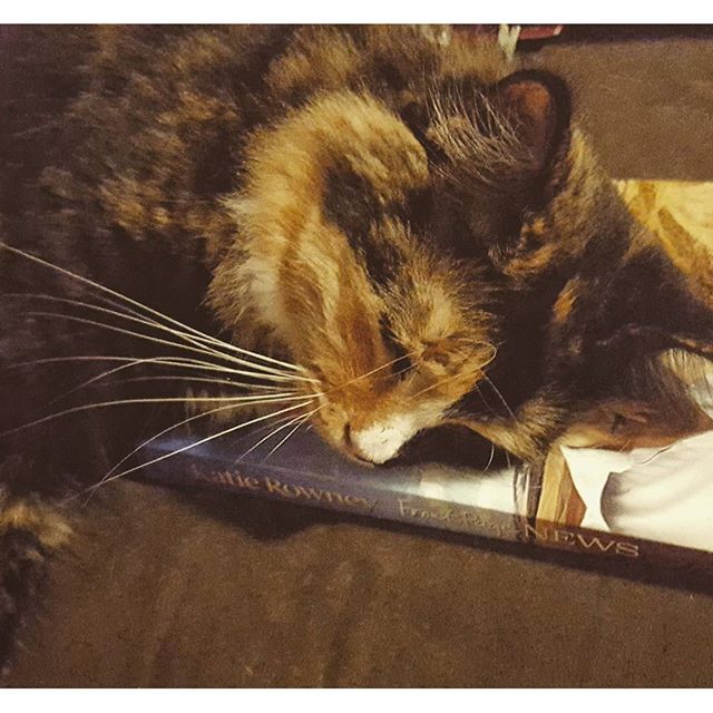 It doubles as a cat bed if you don't like the plot.