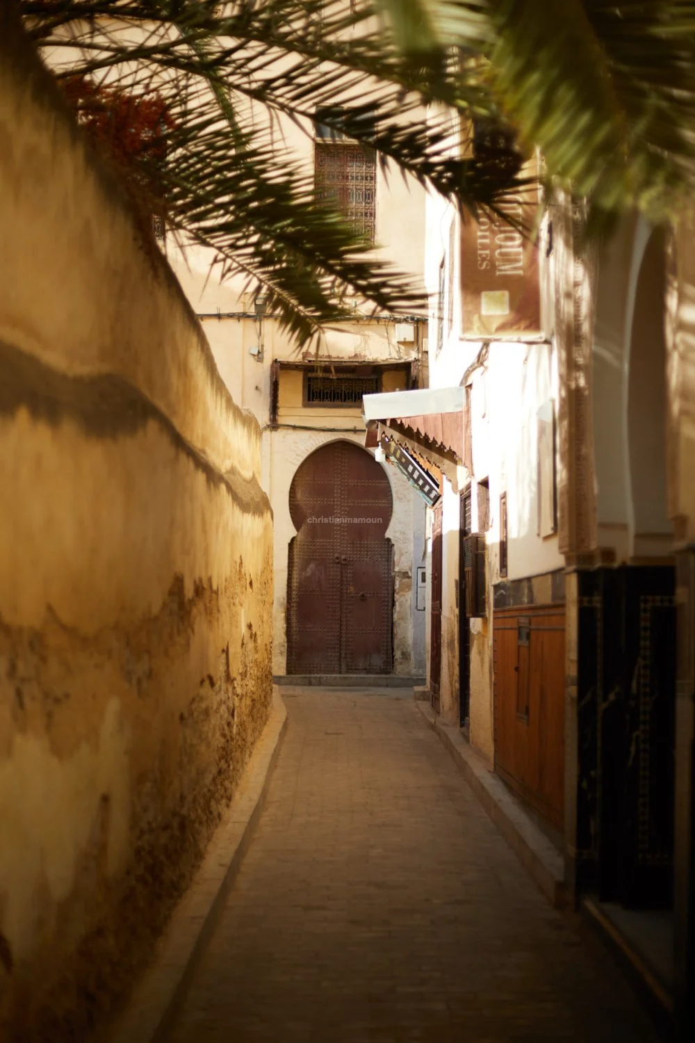 Fes2025_ChristianMamoun4.jpg