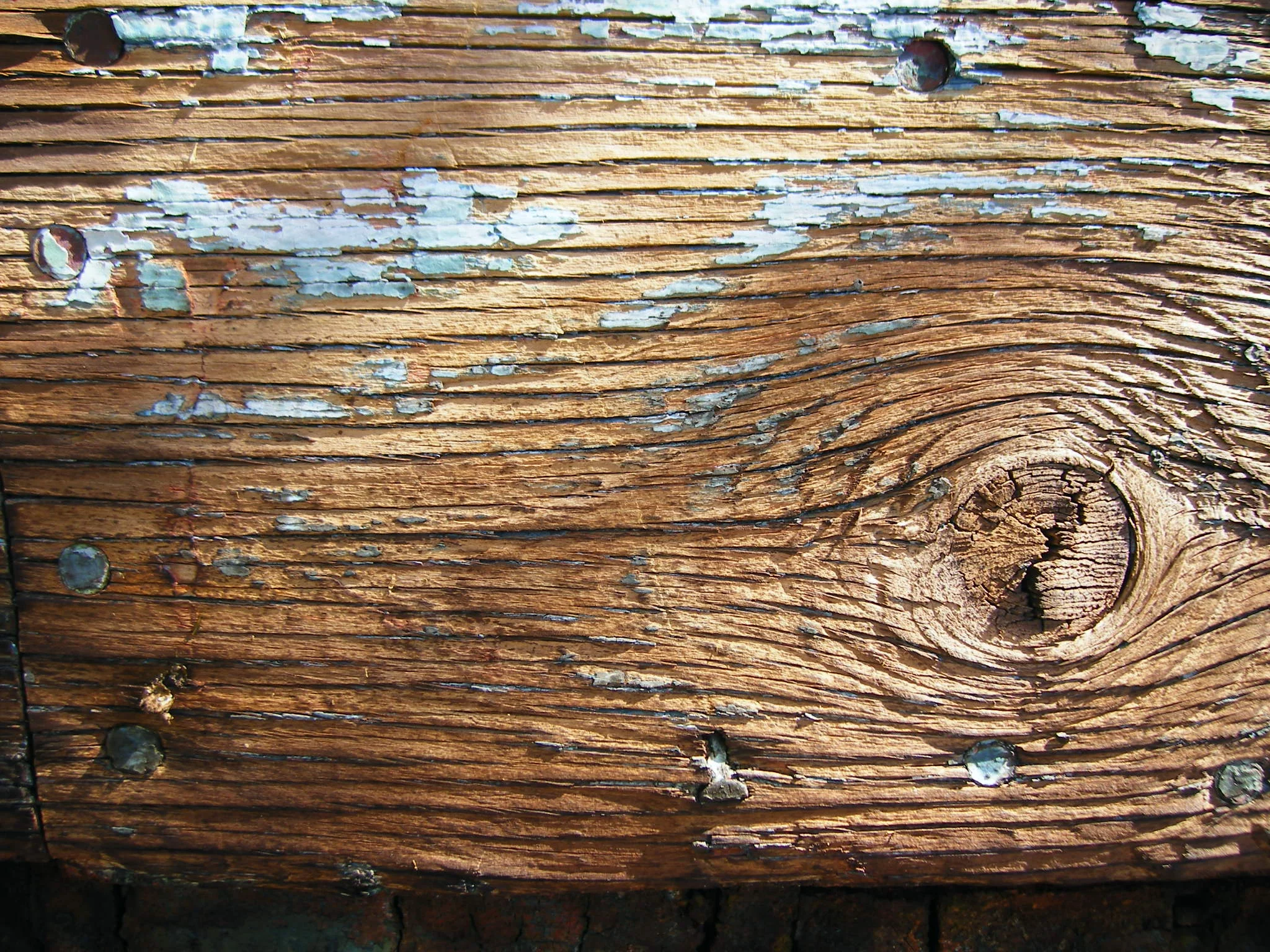 Wood-Grain-Photo 2.jpg