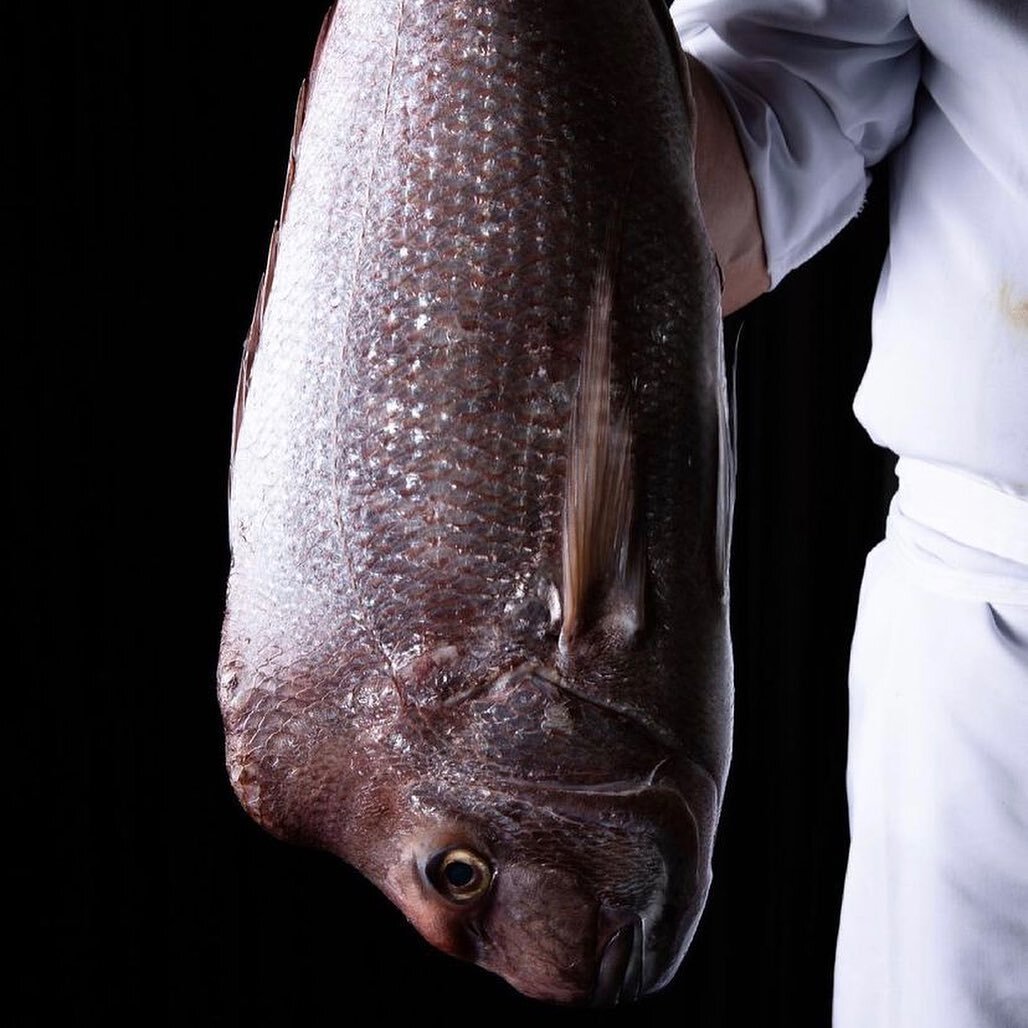 The traceability of our products not only allows us to tell you where your fish comes from, but also who the fisher is who caught it - giving our customers the full ocean-to plate experience. 

Fishers like Ben Pethick (@f.v_bowithick ) - who is not 