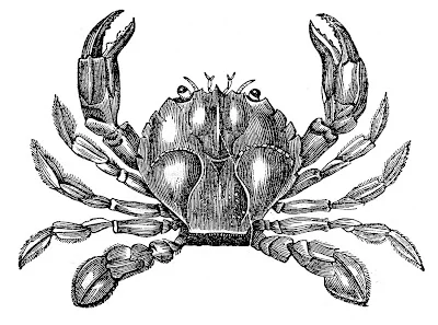 CrabVintage-GraphicsFairy.jpg