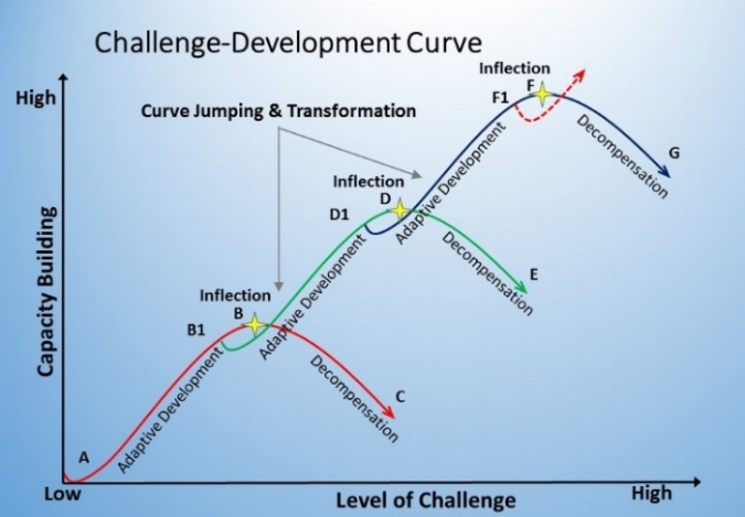 Figure 2. A Multi-Curve Model of Adaptive Growth