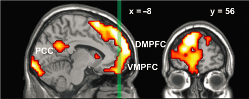 From research by Farb et al (2007)