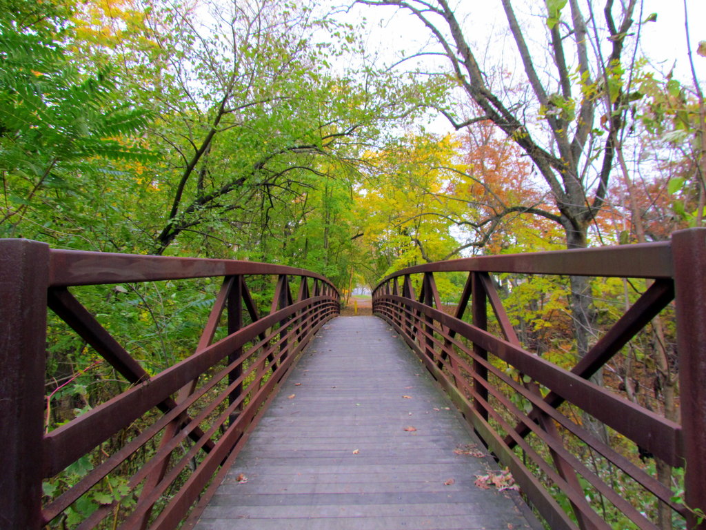 trail bridge 3.jpg