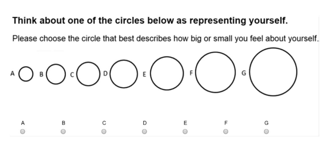 How Big is Your Self, Bai et al (2017)