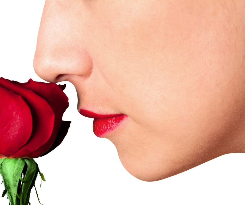 Stop and Smell the Roses.png