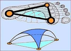 Our foot has 3 pillars of support and 3 arches that allow us to shock absorb. 