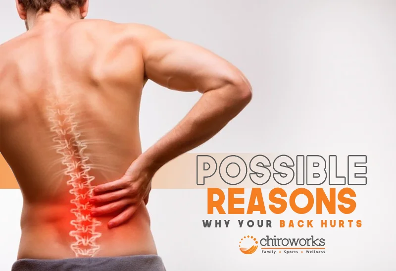 Possible Reasons Why Your Back Hurts.jpg