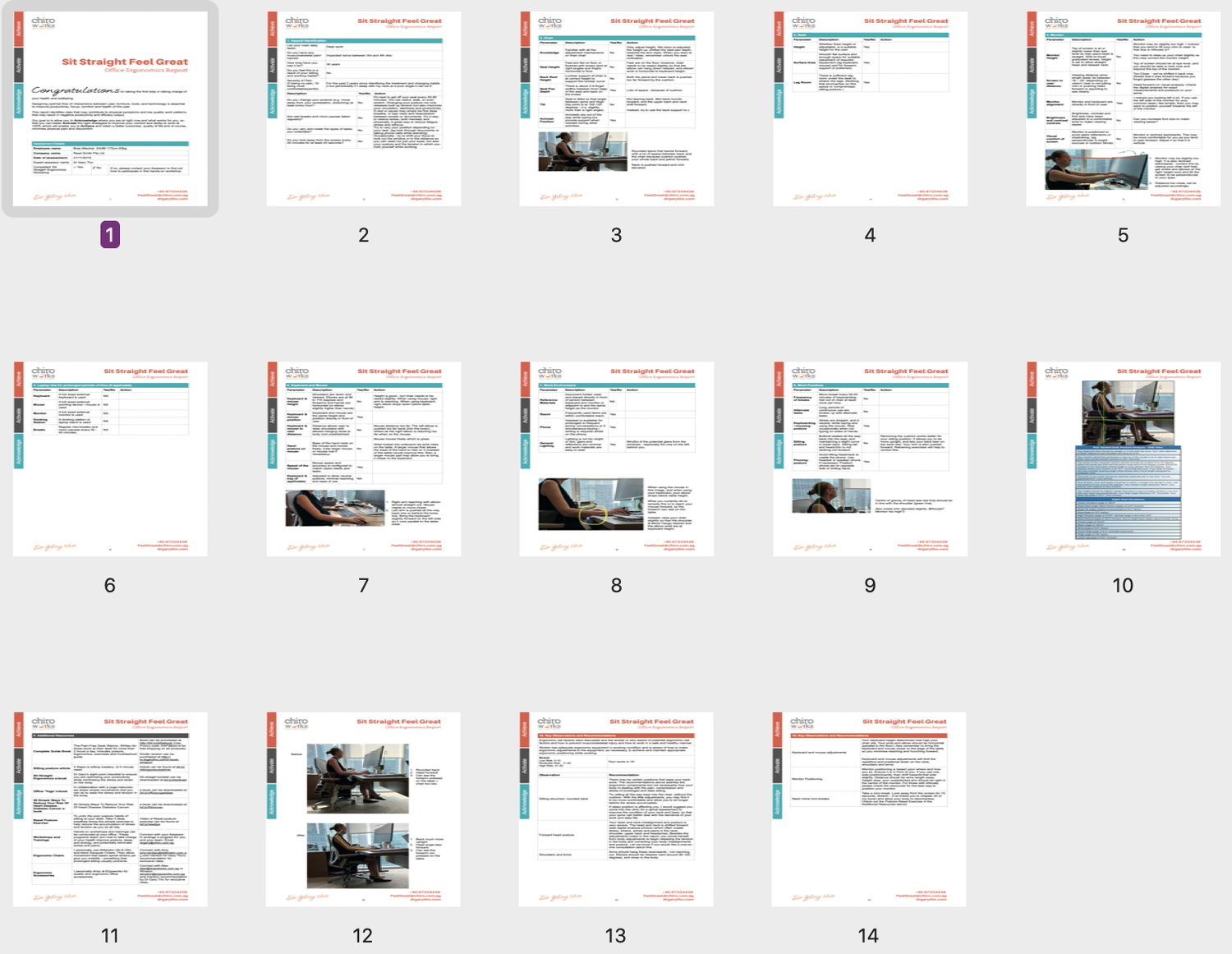 Ergonomic Report Examples Ergonomic Assessment Report