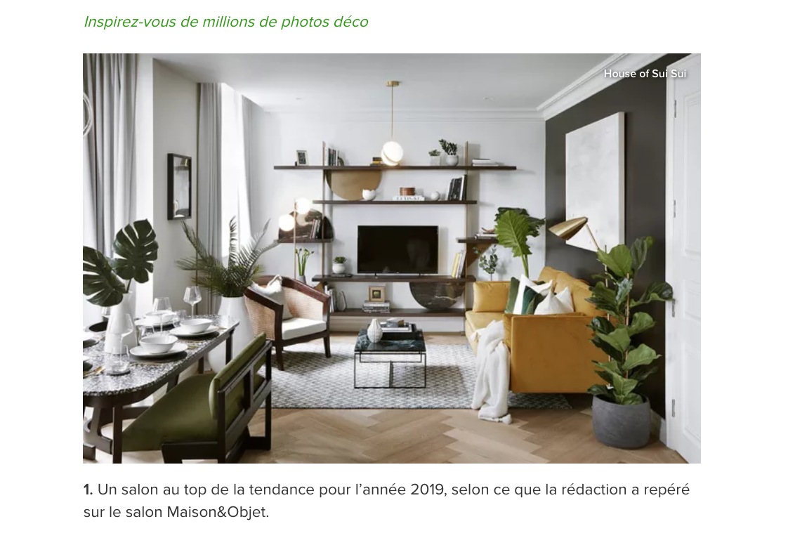HOUZZ - HOUSE OF SUI SUI - MELISSA BOLIVAR.png
