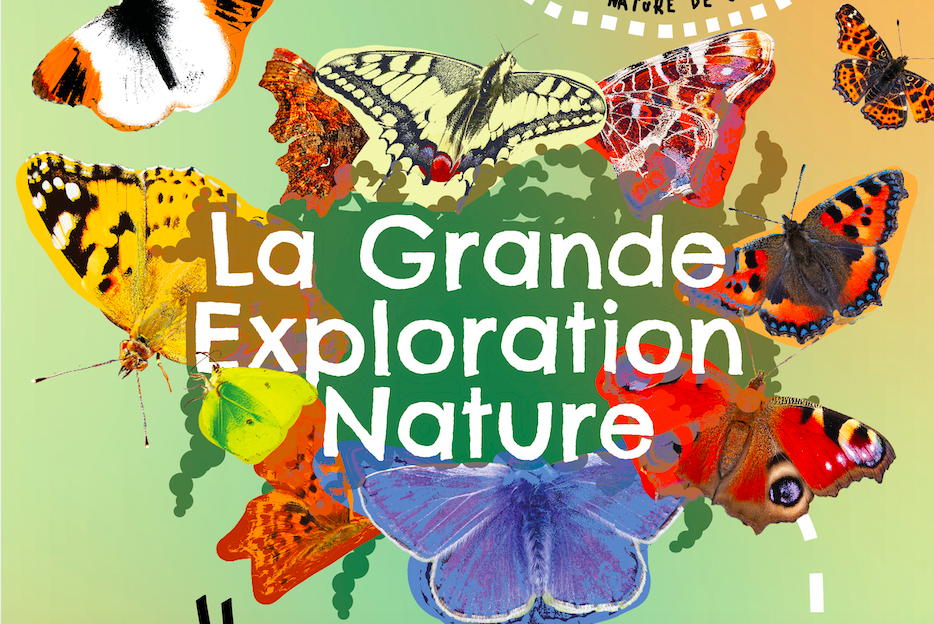 Capture d’écran 2025-05-05 à 14.15.13.png