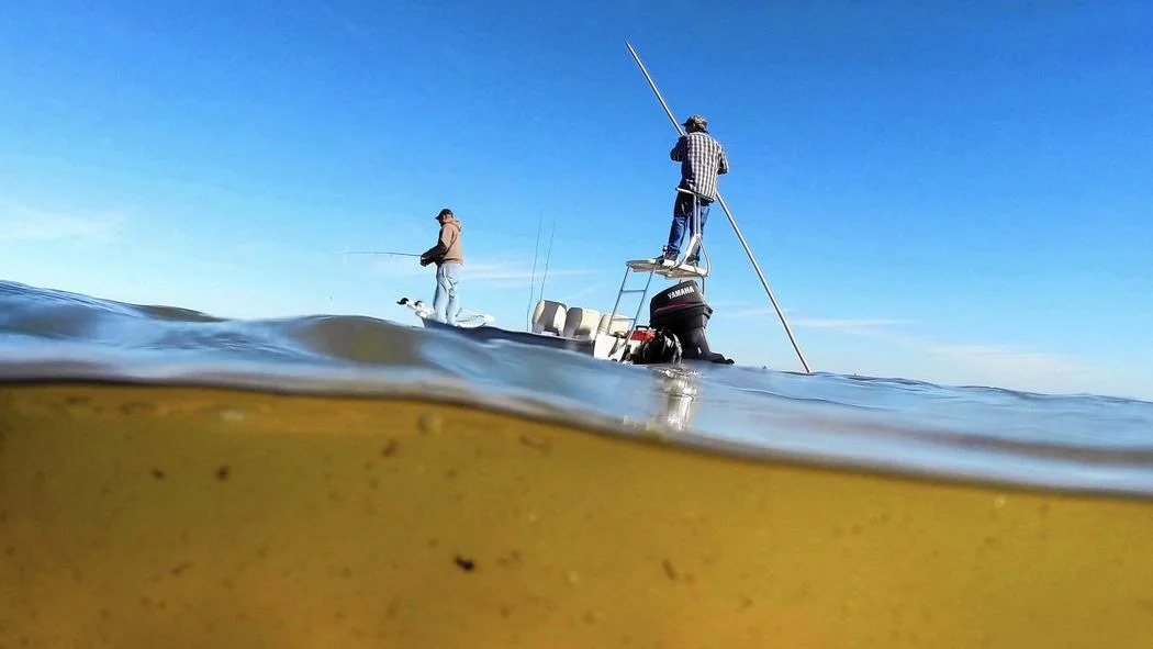 Florida coastal environments are collapsing - Orlando Sentinel