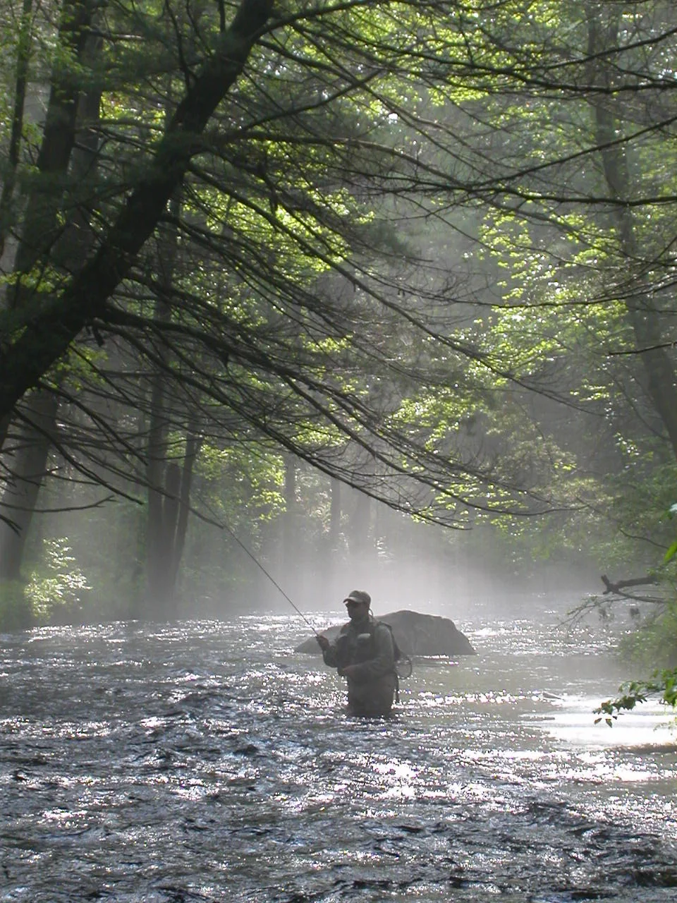 Old Town Crier - May 2012 Issue - Spring Fishing