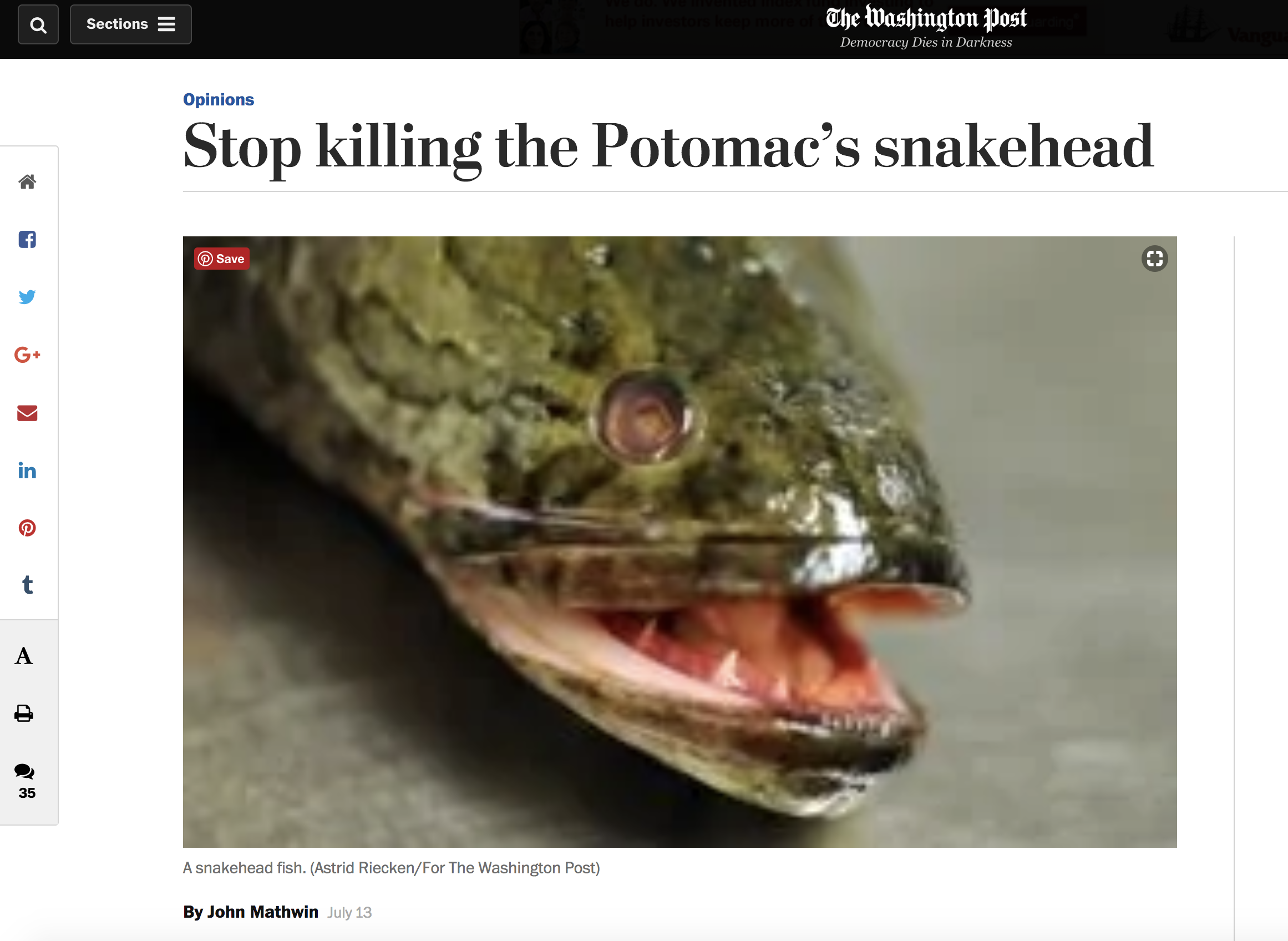 Washington Post opinion piece on the northern snakehead in the Post