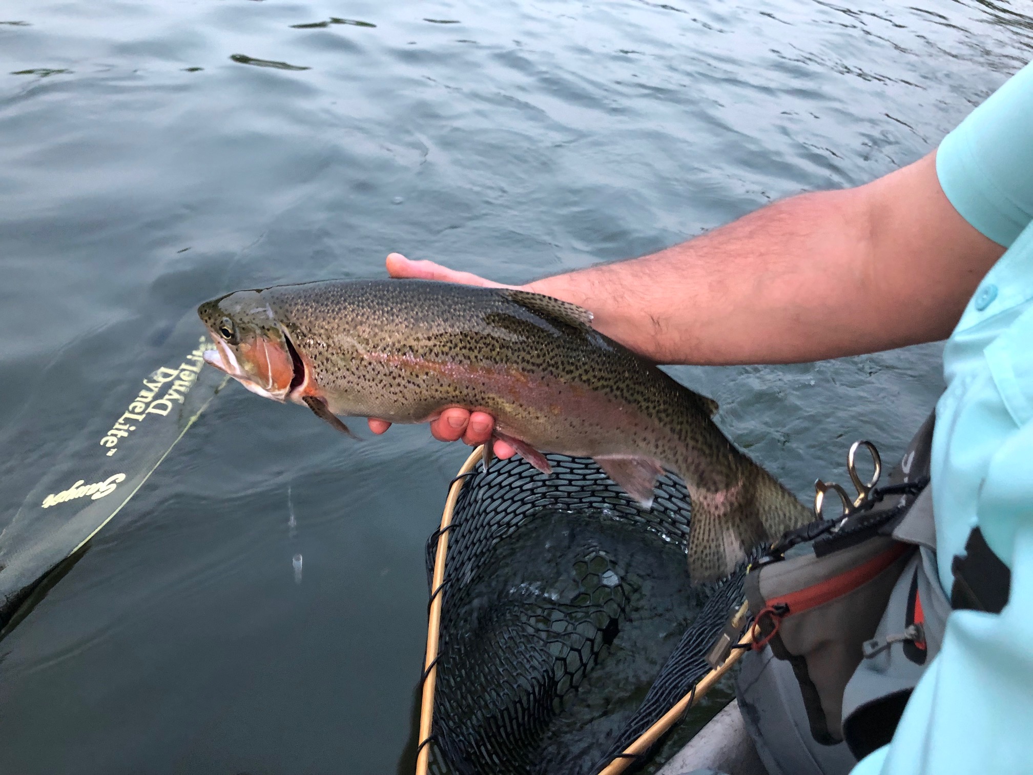 When The River Wakes Up