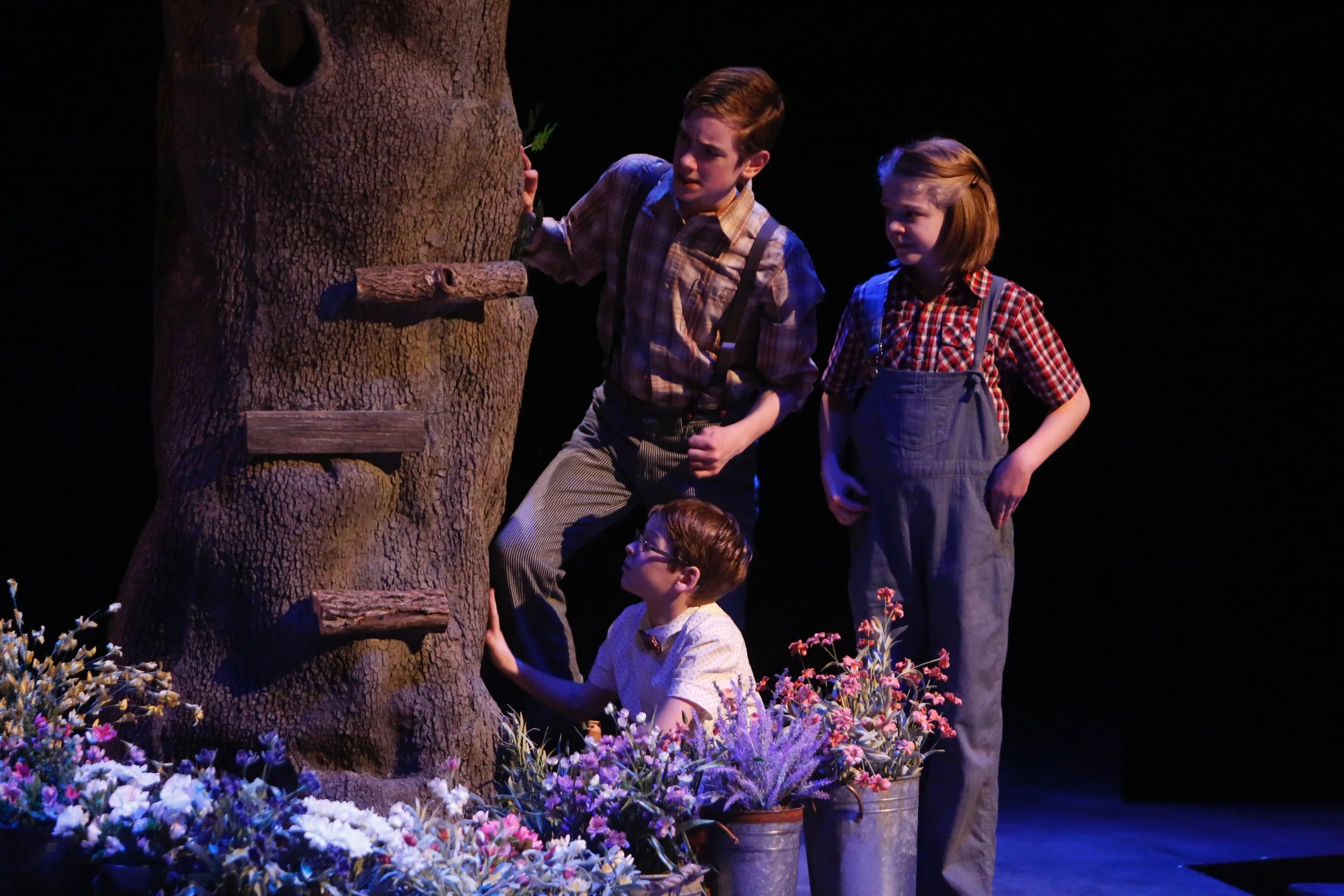 170207_naunheim_rep_kill_mockingbird_543.jpg