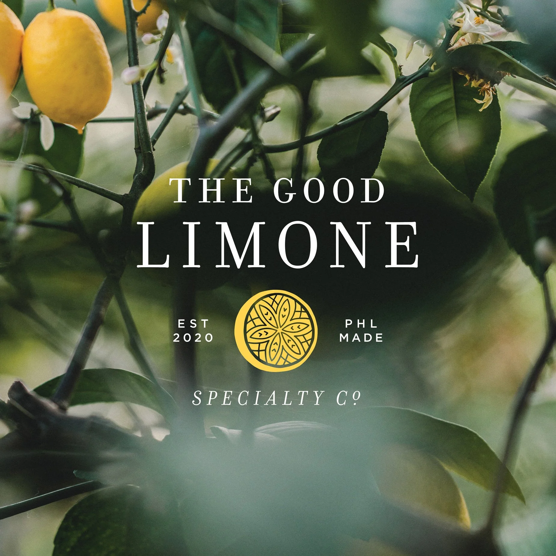TheGoodLimone_Logos1.jpg