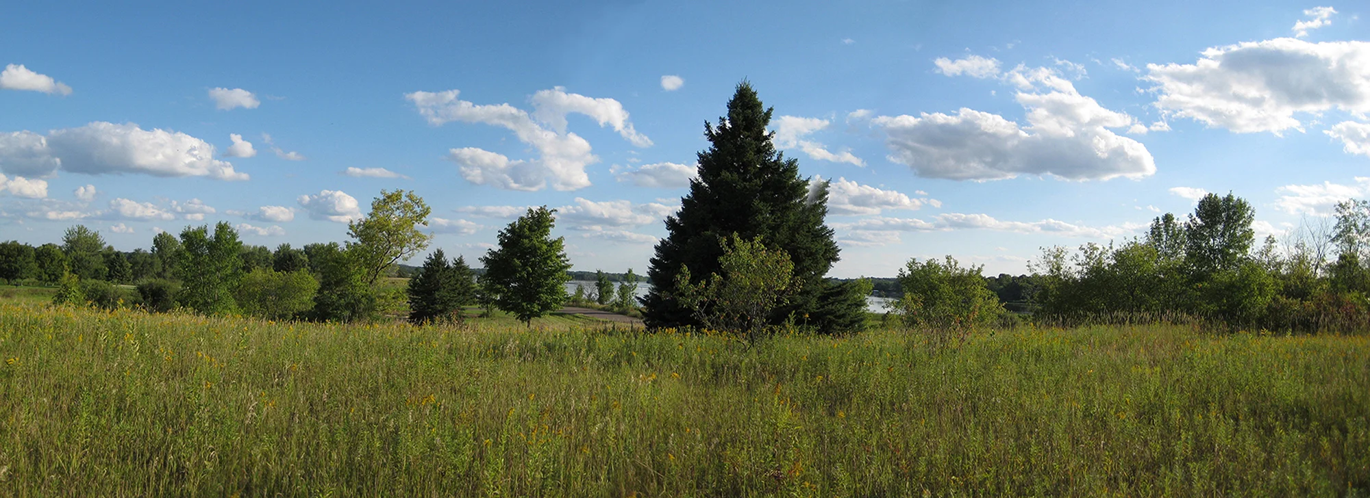 02_Cloak House Site.jpg