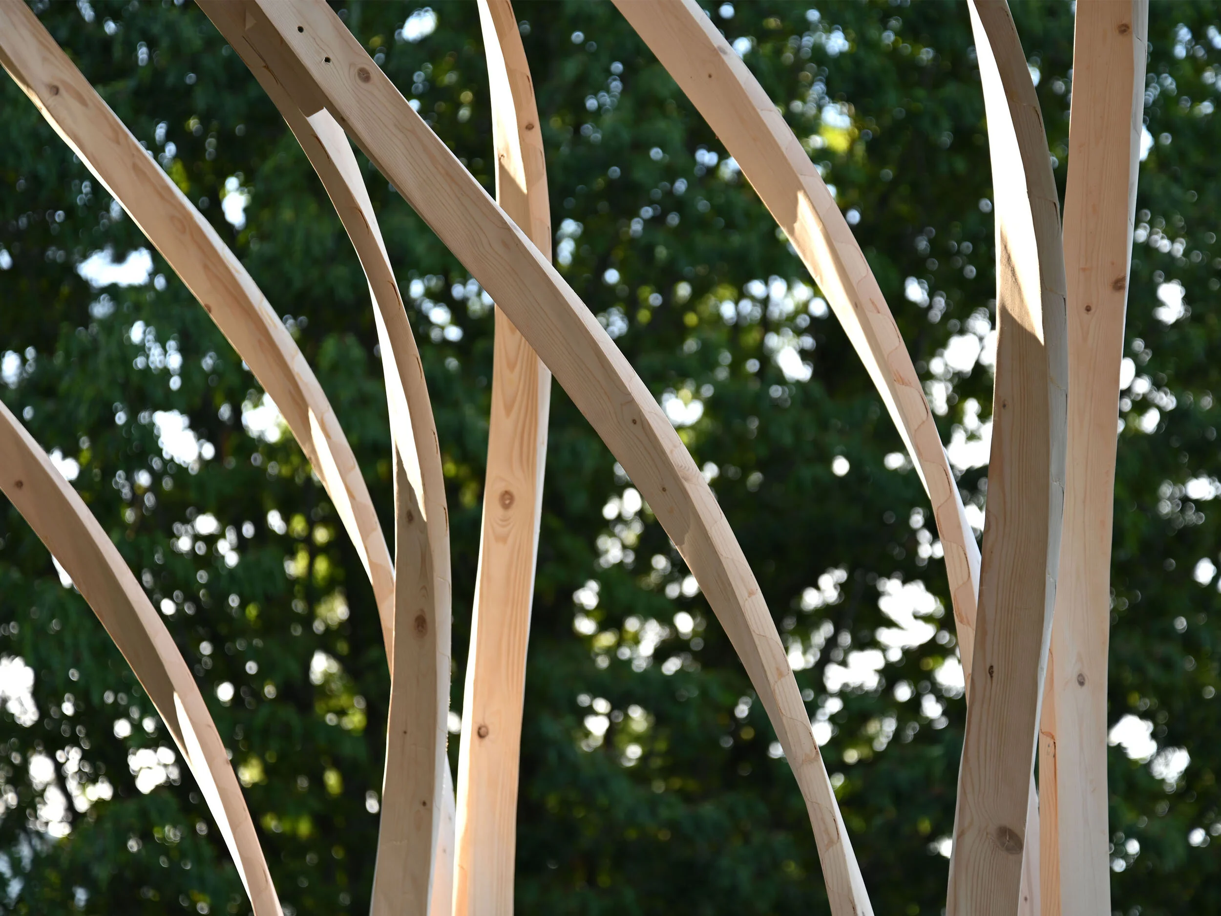 Zippered Wood