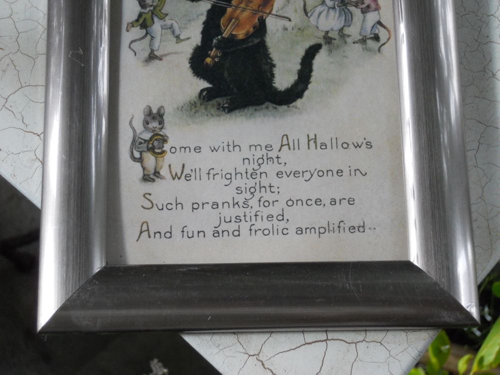 Did someone say fun and frolic?