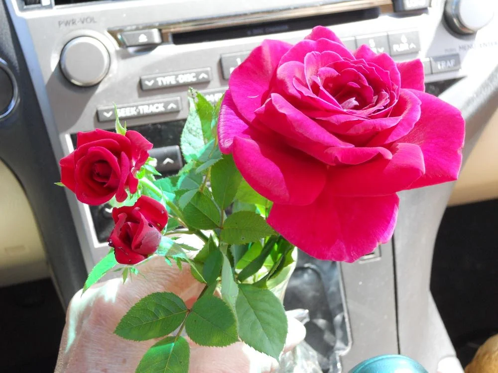 Red Roses Gift Flowers Made Just For U