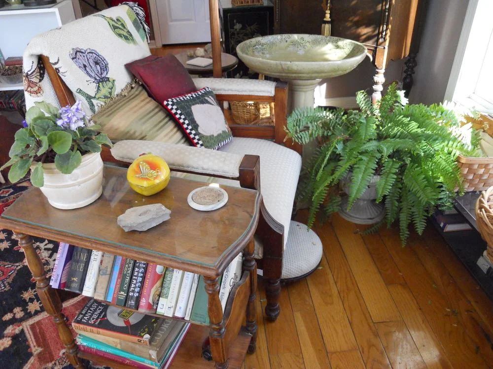 Ceramic bird bath came in one winter and hasn't moved back outside since, good napping spot.