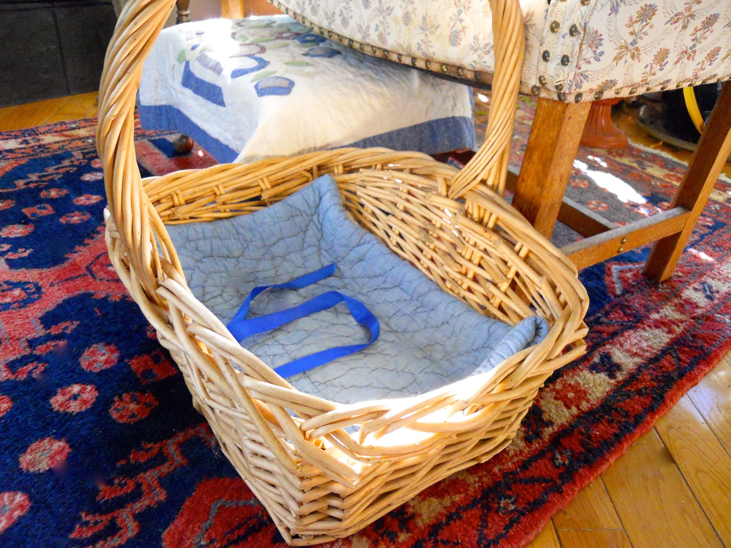 Never fear, Shirley Honey, there's another empty basket nearby for your comfy napping spot.