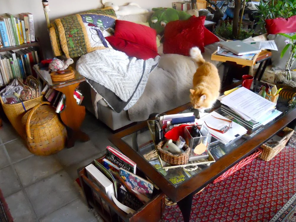 This is reading nook central, where I do most of my writing, research reading and cat petting.
