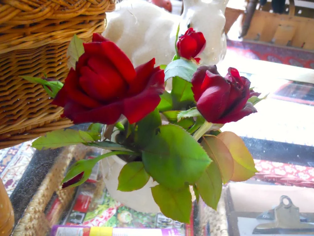 Uh-oh, is there a rabbit after this beautiful little bouquet of red hybrid tea roses? (Photo by Charlotte Ekker Wiggins)
