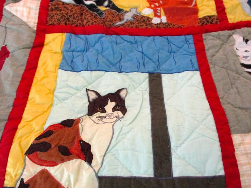 This smug calico cat is giving you a welcome!
