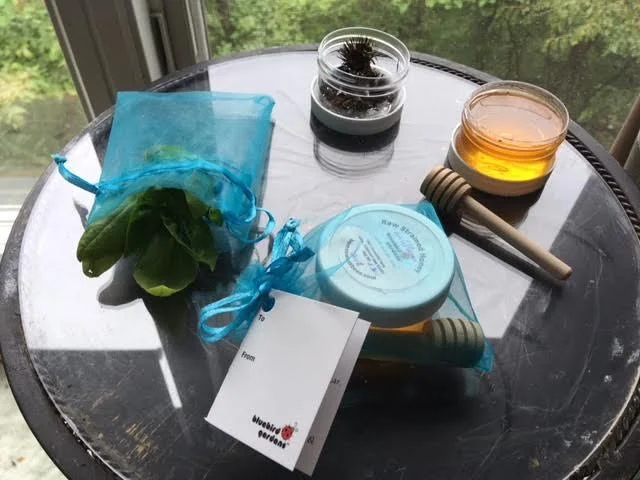 honey seed saving packs.jpg