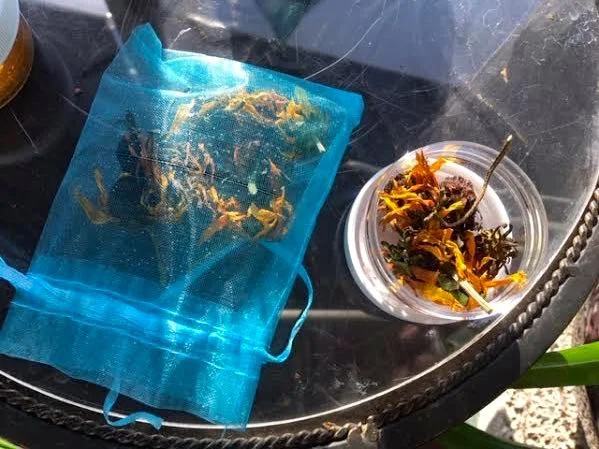The blue mesh gift bag doubles nicely to dry flower seeds. (Photo by Charlotte Ekker Wiggins)
