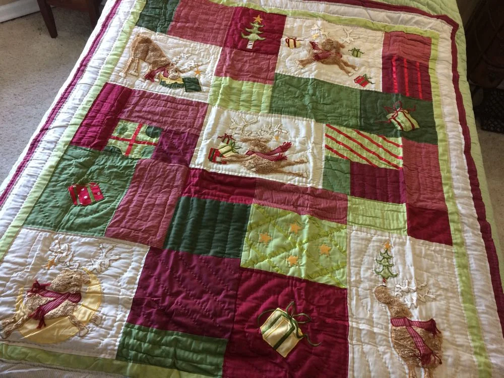 Reindeer Fun Lap Quilt sets the fun tone to the holidays. (Photo by Charlotte Ekker Wiggins)
