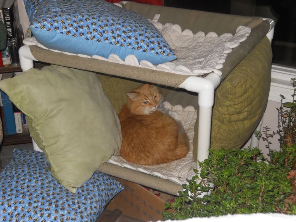 Bottom level stays warm thanks to nearby heat vent. (Photo by Charlotte Ekker Wiggins)