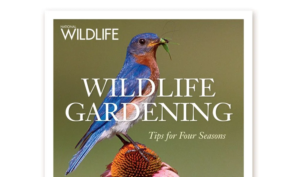 wildlife gardening book.jpg