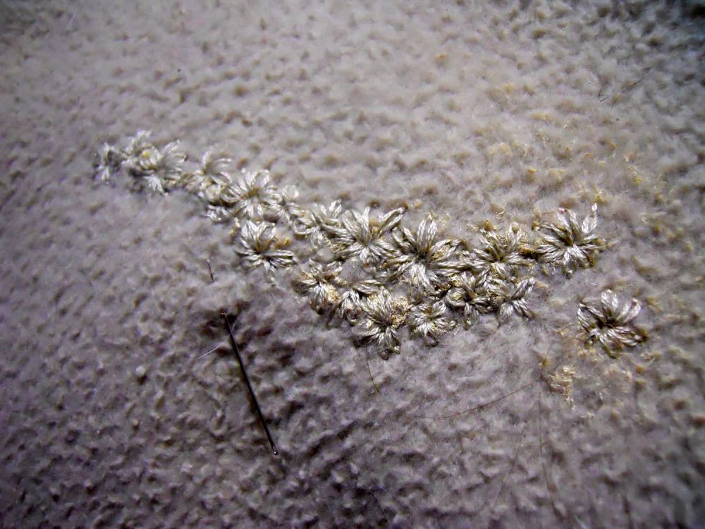 The grouping of daisy embroidery now covers most of the pain. (Photo by Charlotte Ekker Wiggins)