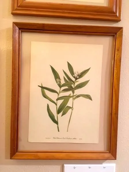 Flower print thin frame.jpg