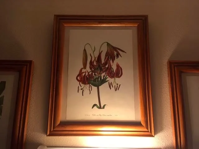 The wall sconce now highlights the tiger lily print. (Photo by Charlotte Ekker Wiggins)