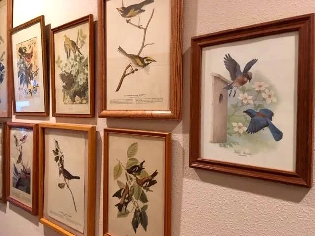 Some of my vintage bird prints along a hallway. (Photo by Charlotte Ekker Wiggins)