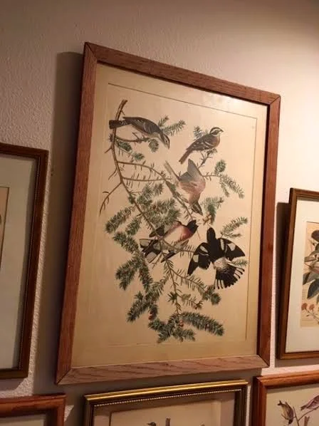 This first bird print started the collection. (Photo by Charlotte Ekker Wiggins)