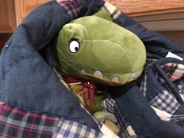 Dino is safely tucked in and ready for his trip to his new home. (Photo by Charlotte Ekker Wiggins)