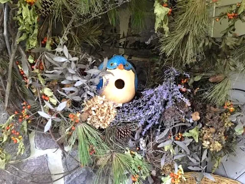 Dry Russian sage, bottom right, adds a nice pop of color to my front porch wreath full of dry greenery. (Photo by Charlotte Ekker Wiggins)