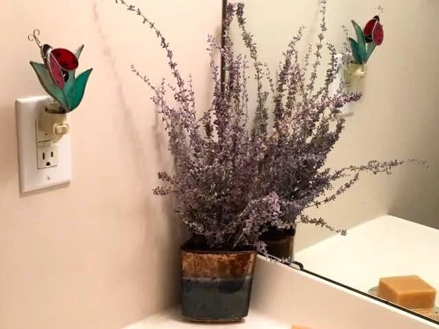 This sprig of dry Russian Sage now decorates a corner of a bathroom. (Photo by Charlotte Ekker Wiggins)