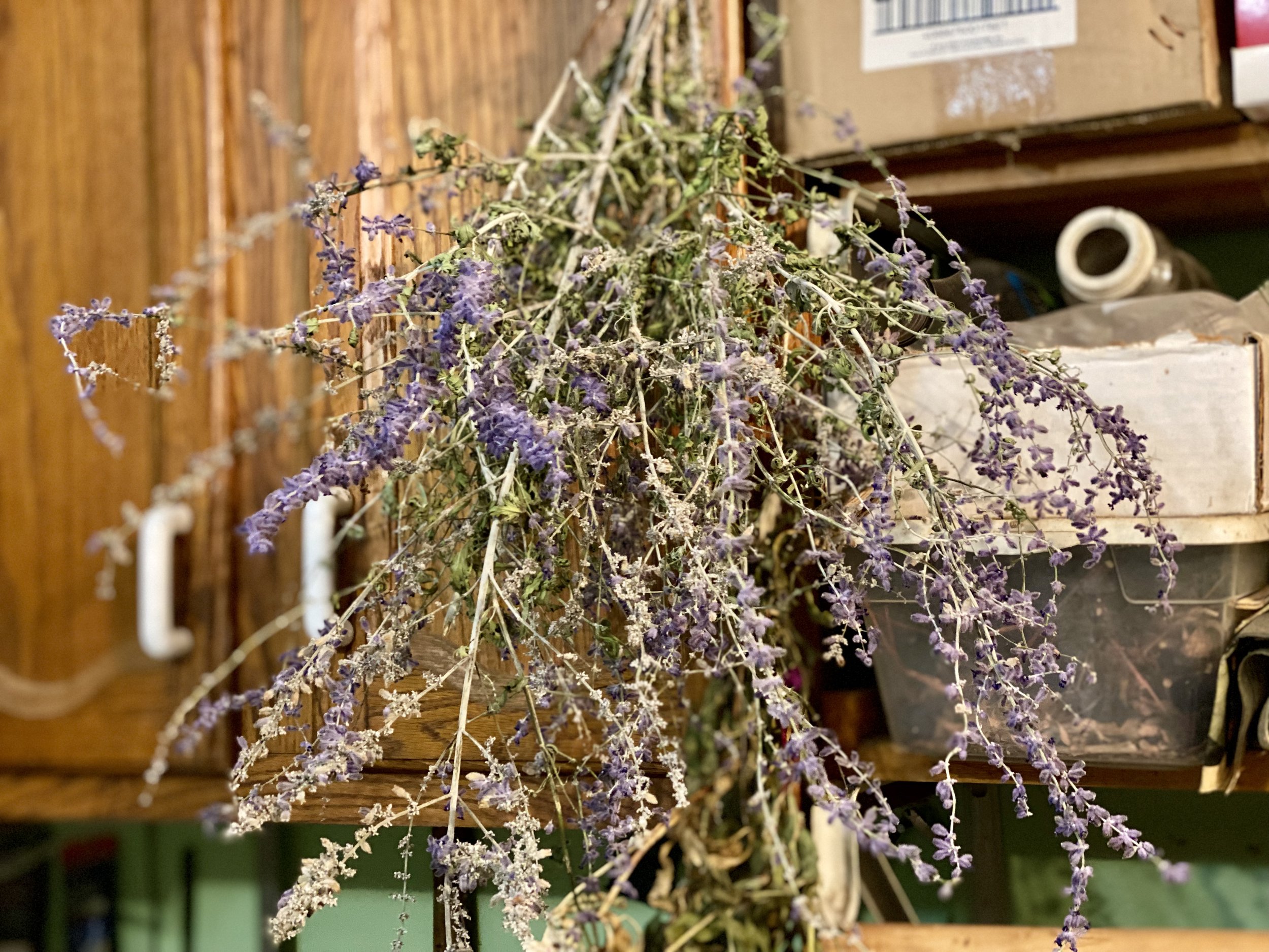 11 Ways to Decorate with Lavender Flowers