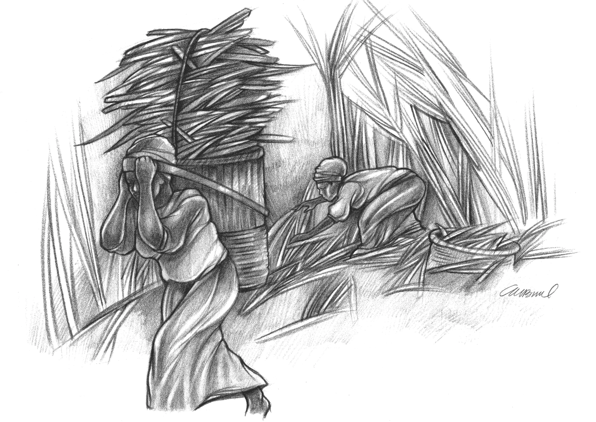 Woman of Cane