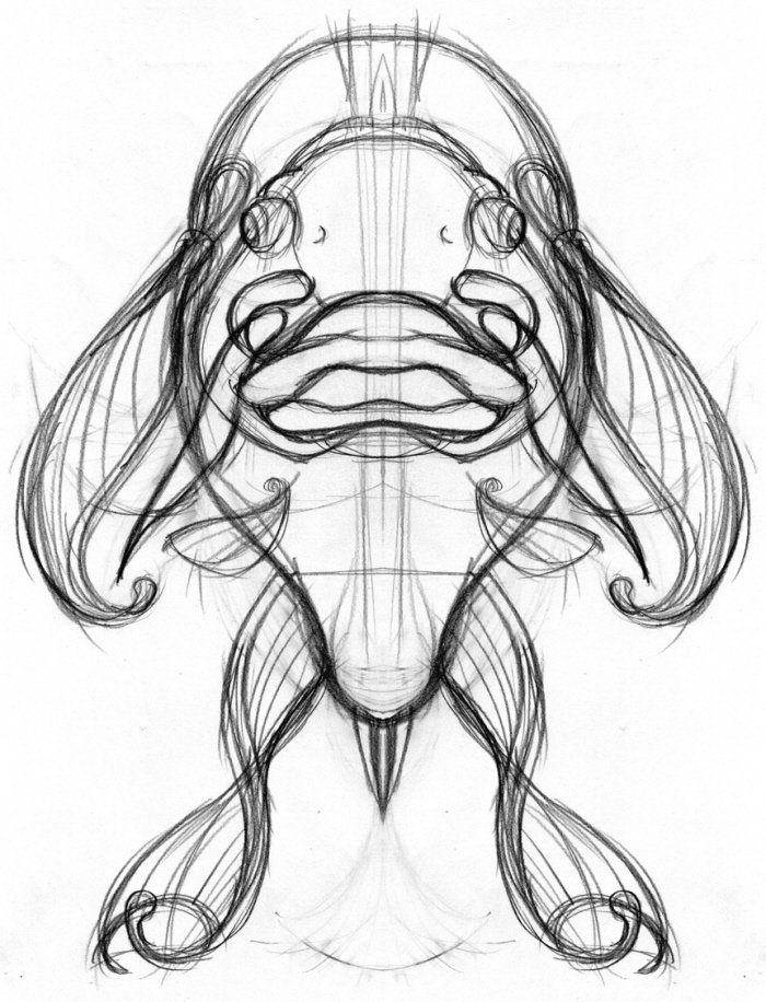 Common Carp Character Sketch 