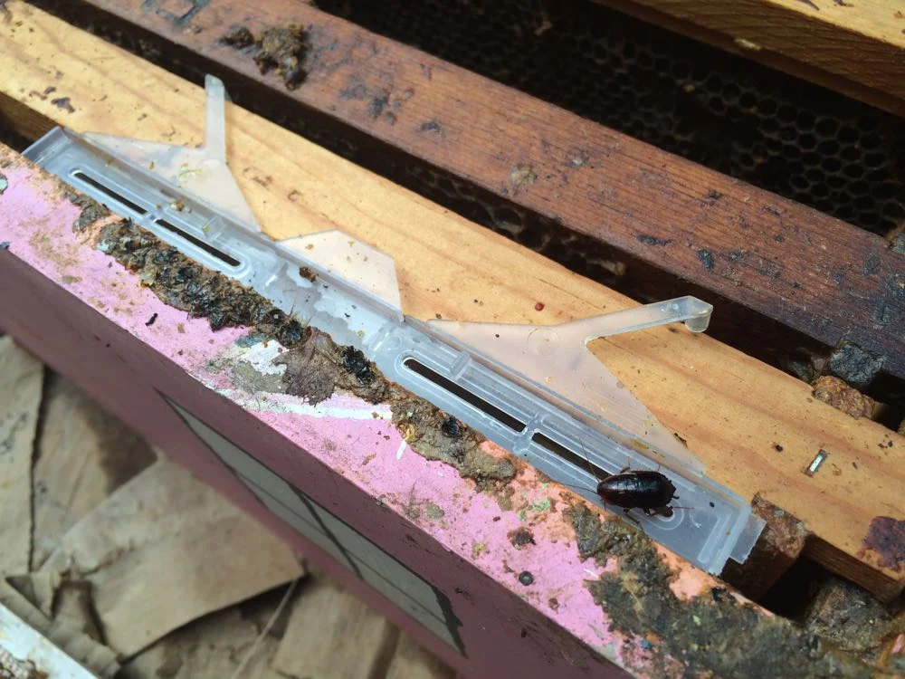 Adding Small Hive Beetle Lure Traps — Home Sweet Bees